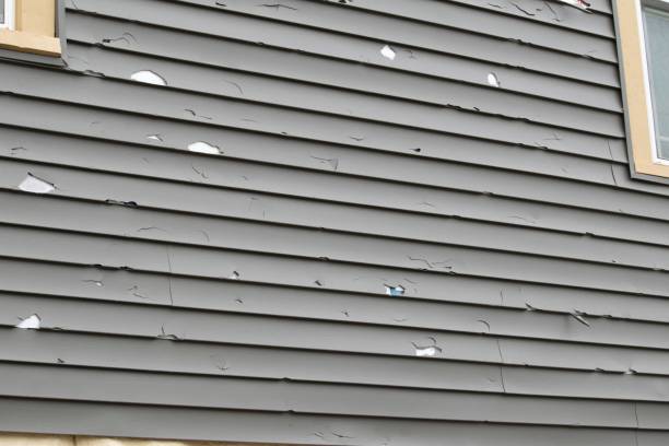 Best Engineered Wood Siding  in Millbury, OH